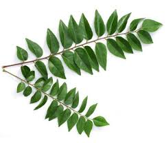 curry leaves