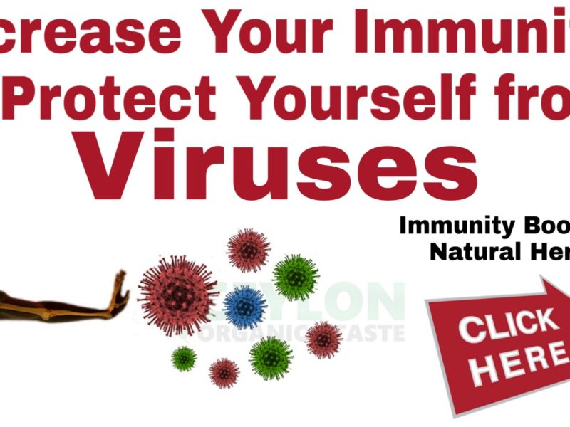 Increase Immunity to protect Yourself from Viruses