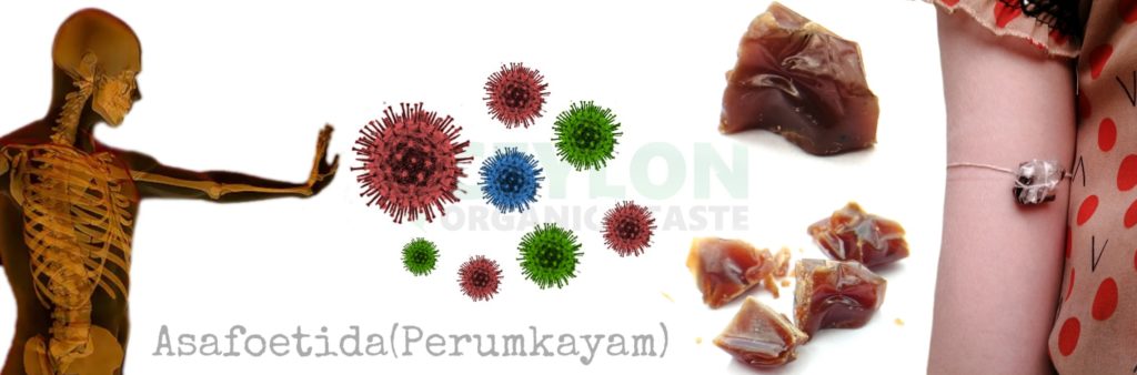 Indigenous Medicines That Protect Against Viruses - Asafoetida Perumkayam