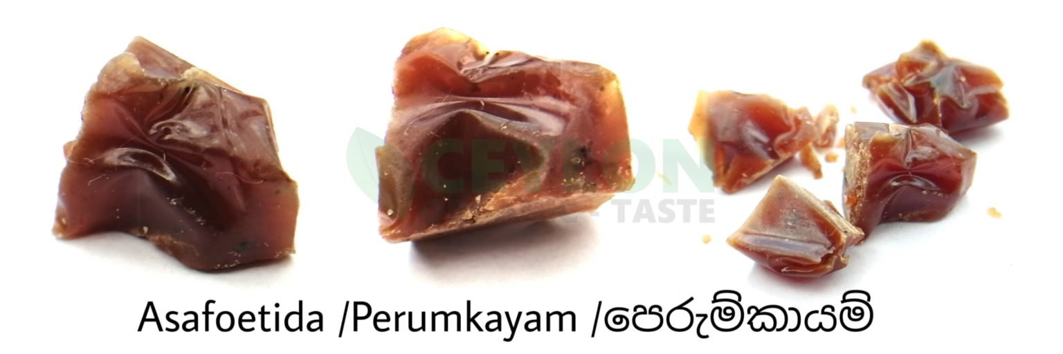 Indigenous Medicines That Protect Against Viruses Asafoetida