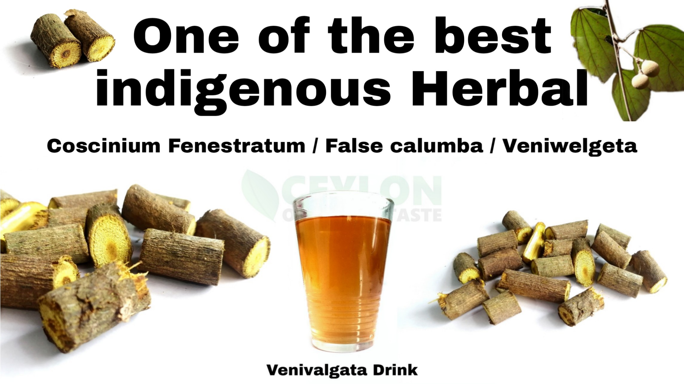 One of the Best Indigenous medical Hurb- False calumba / Veniwelgeta
