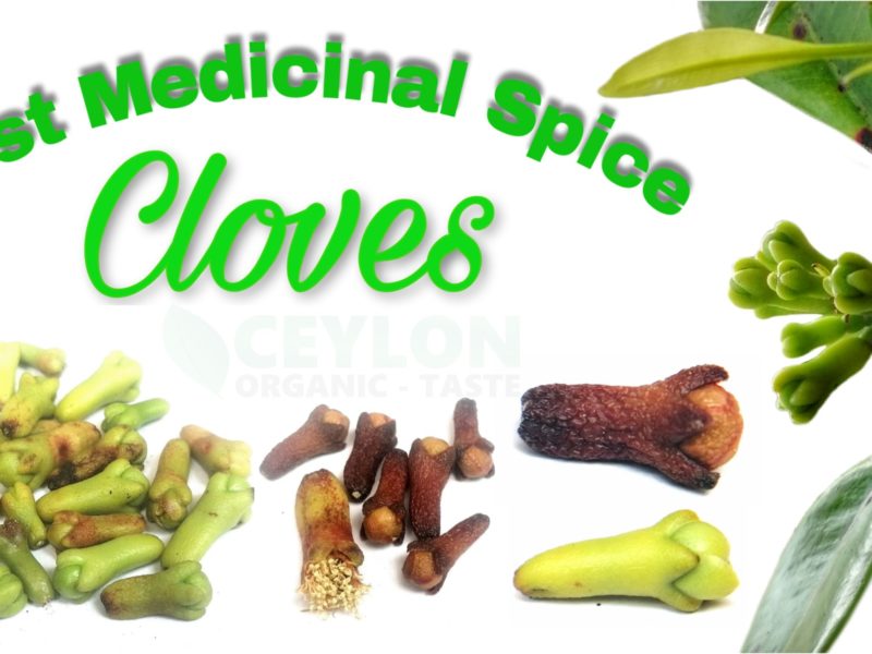 Best Antibacterial Herbal Spice – Cloves Benefits