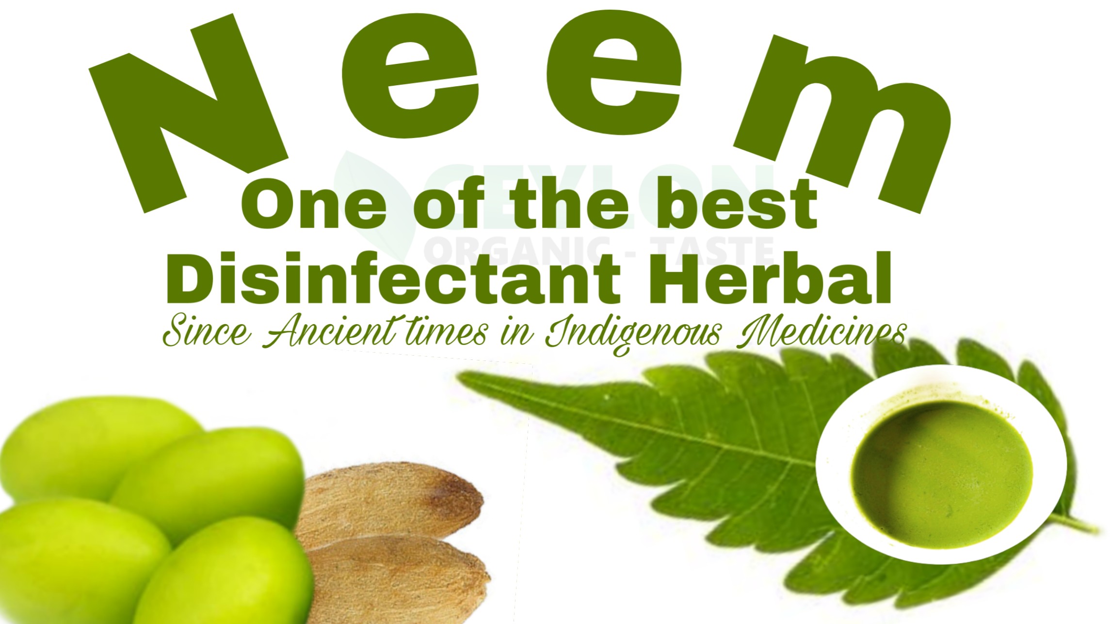 Neem – One of the best disinfectant herbal