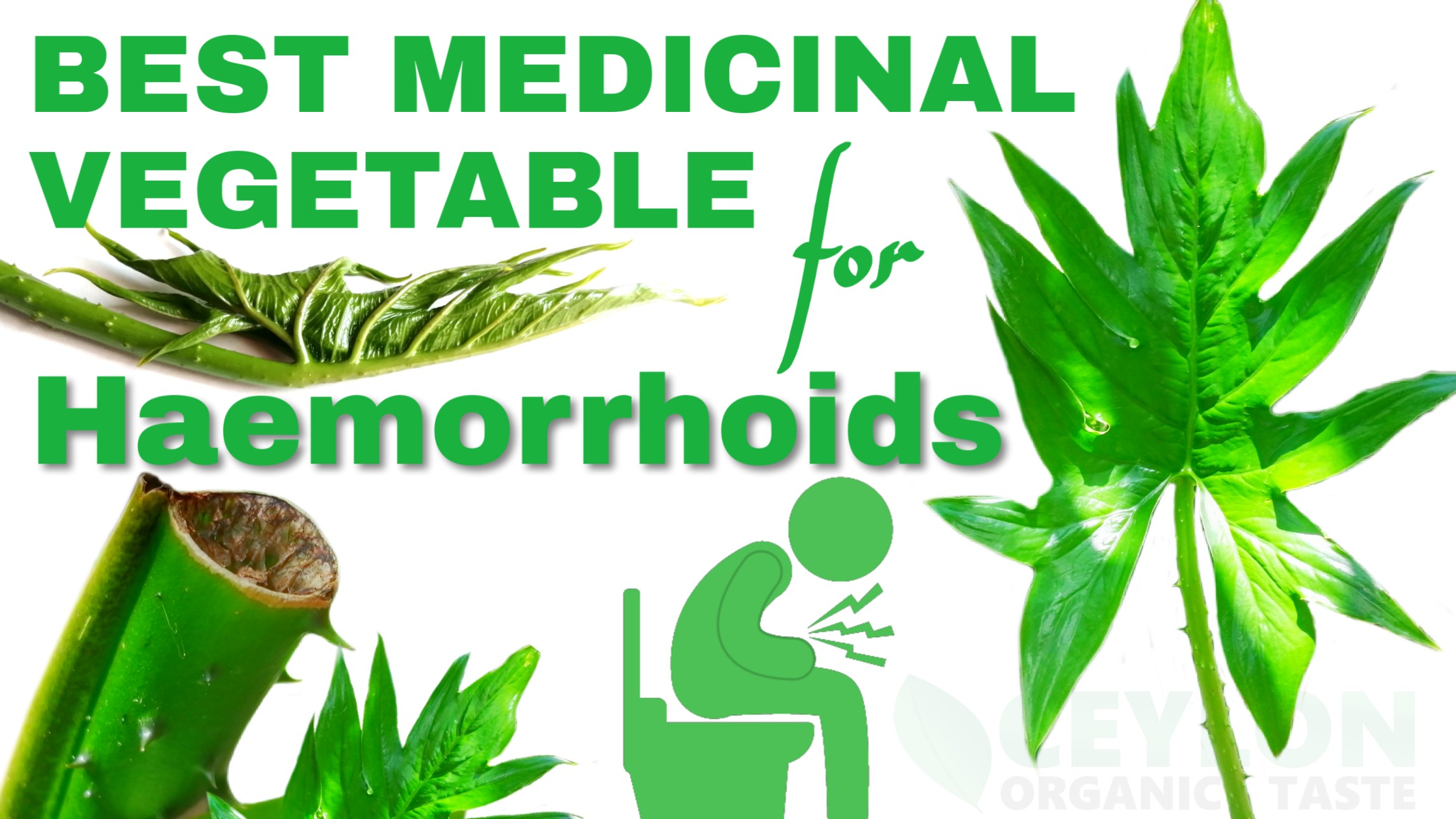 Best Medicinal Vegetable for haemorrhoids