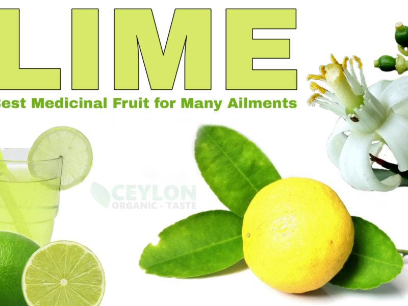 Lime – Best Medicinal Fruit for Many Ailments
