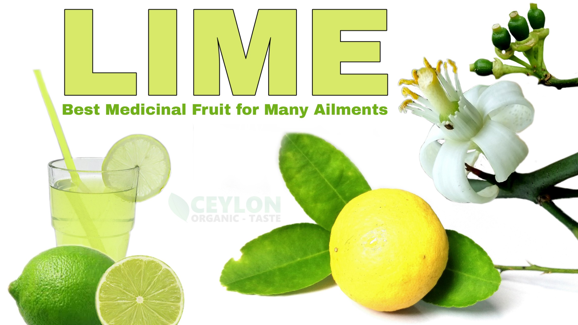 Lime – Best Medicinal Fruit for Many Ailments