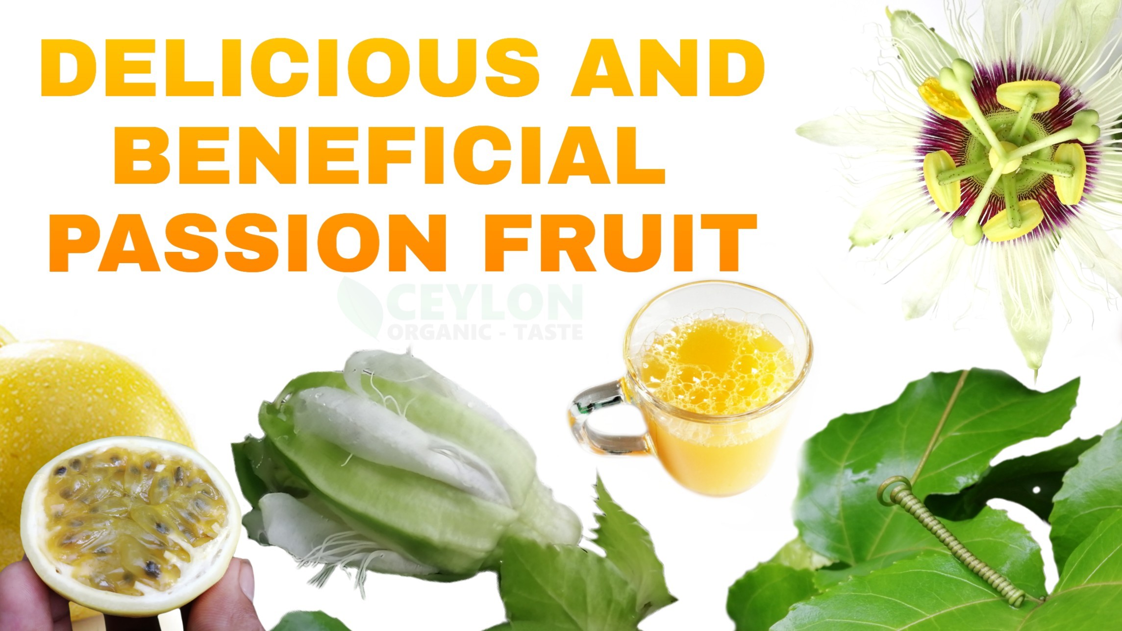 Delicious and beneficial Passion fruit