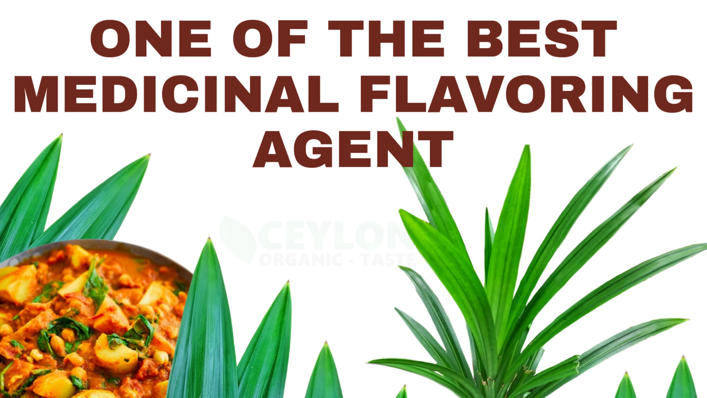 One of the best medicinal flavouring agent – Pandan