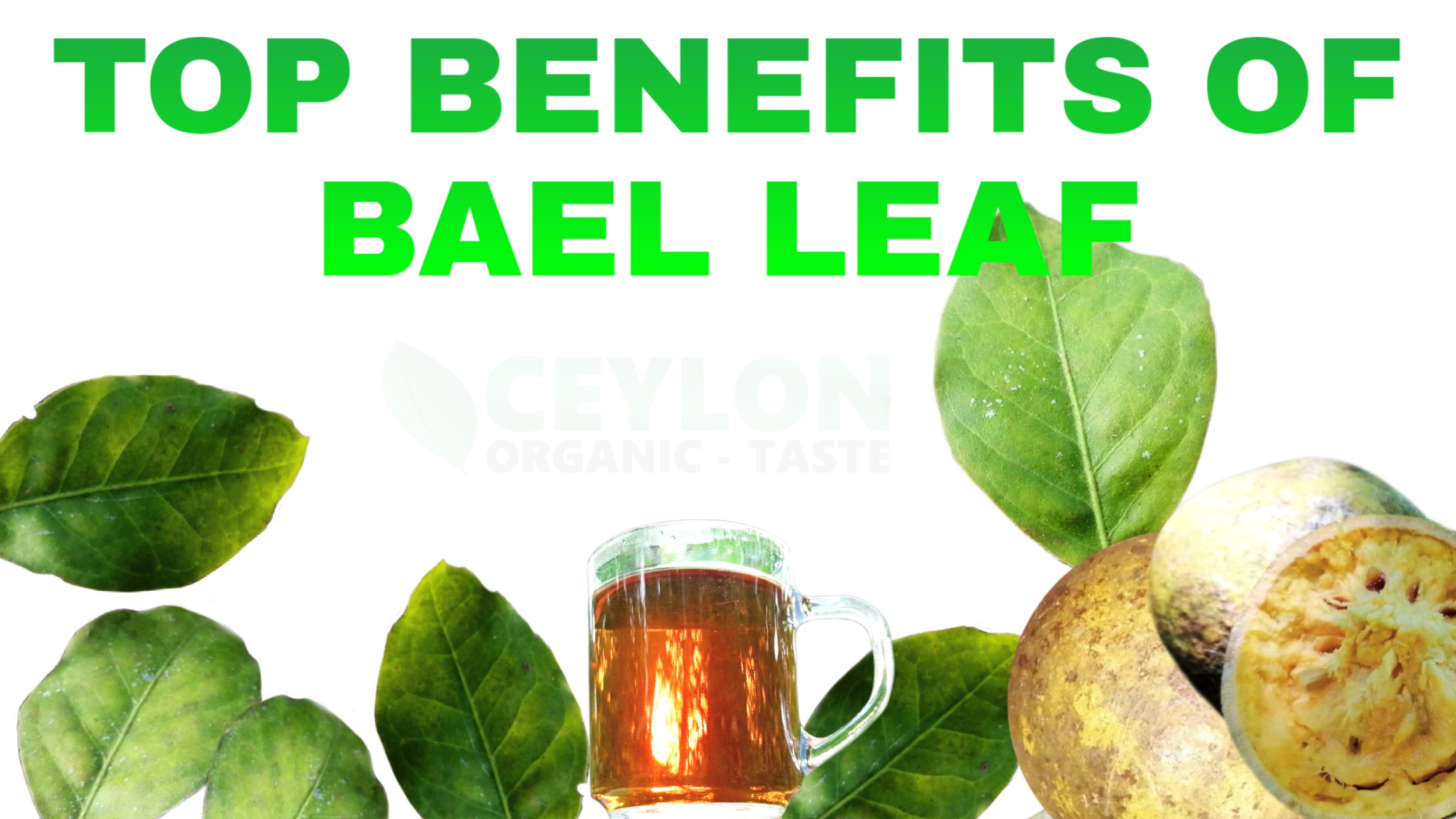 Top Benefits of Bael leaf - Ceylon Organic Taste