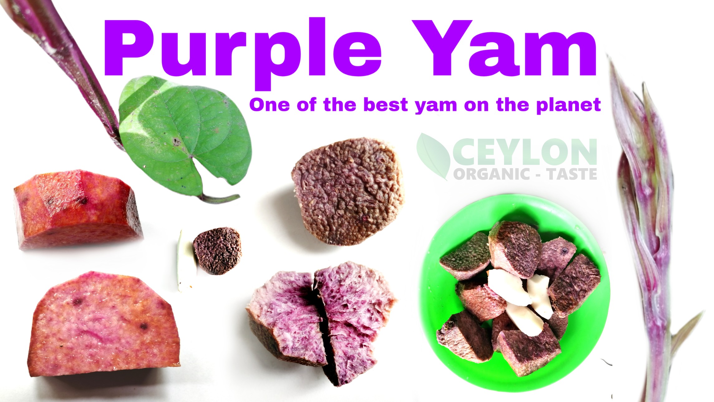 Purple Yam One of the best yam on Ceylon Organic Taste